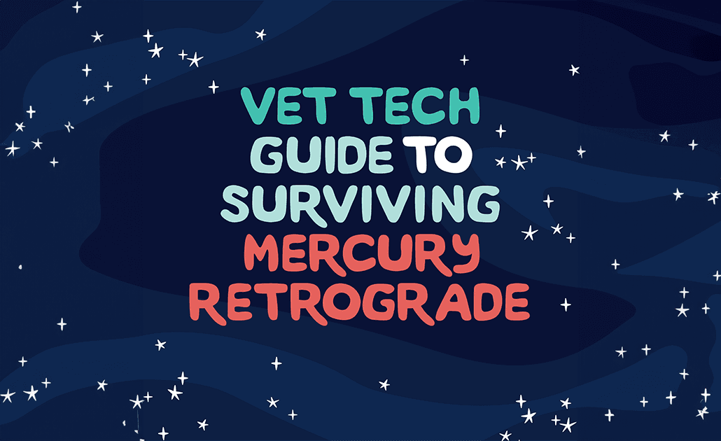 Mercury retrograde survival guide
