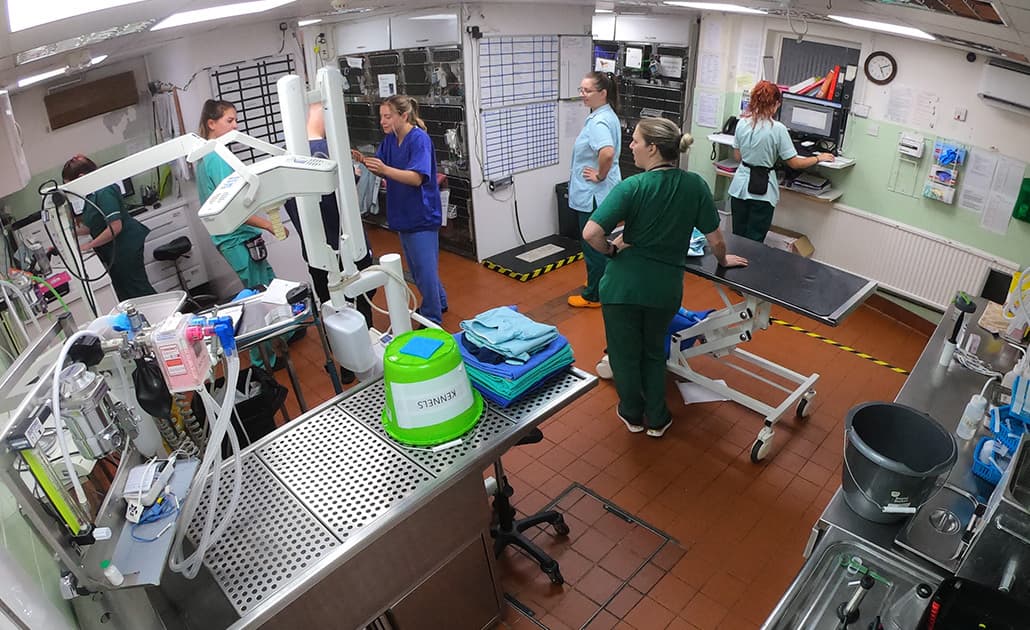 Pennard Vets practice floor