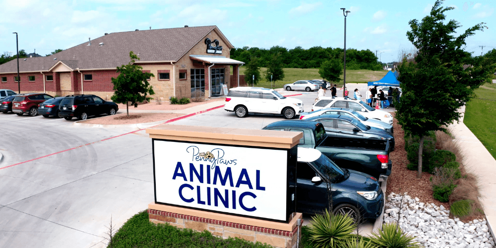 Penny Paws Animal Clinic Front