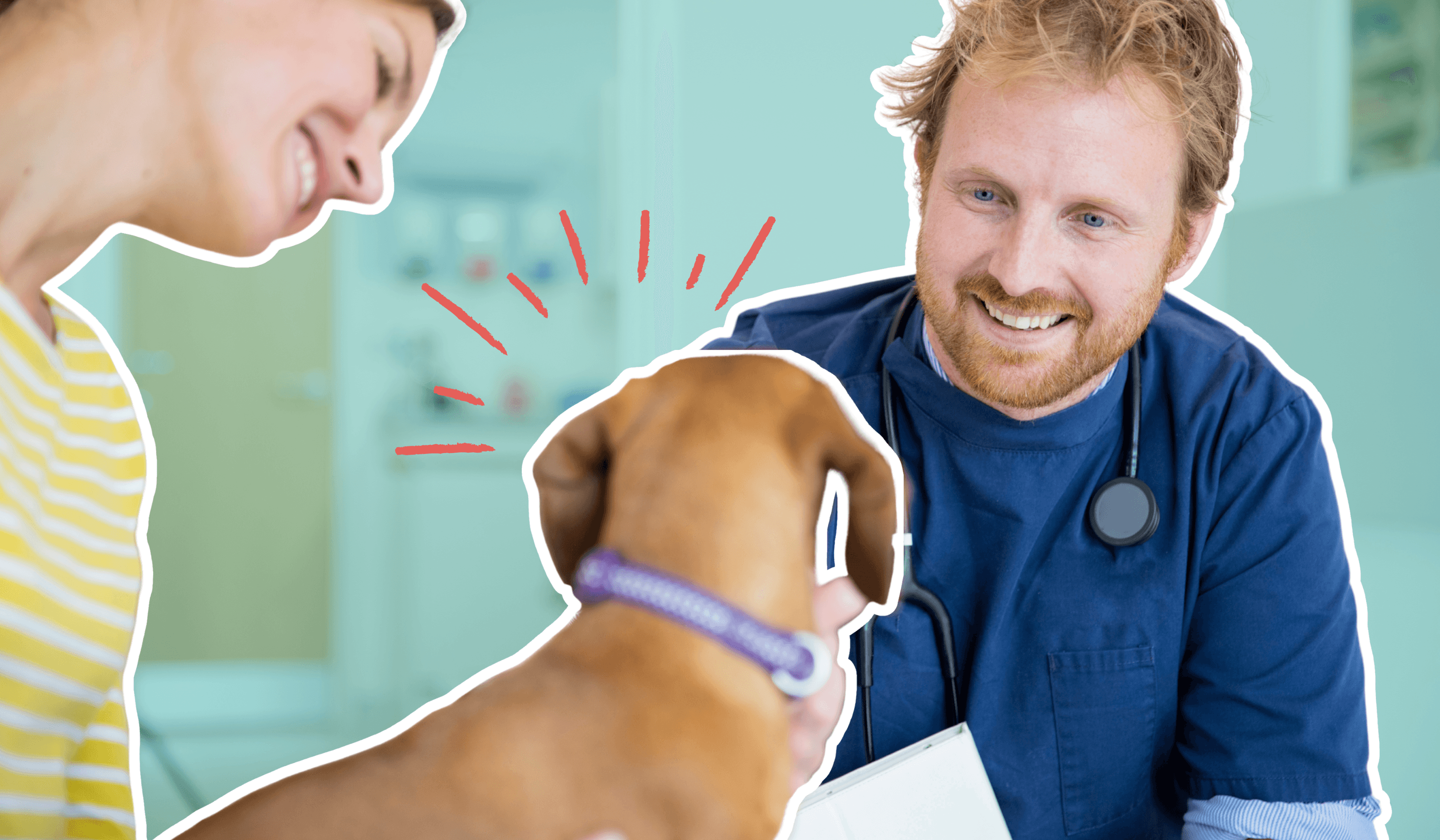 Vet with client and dog
