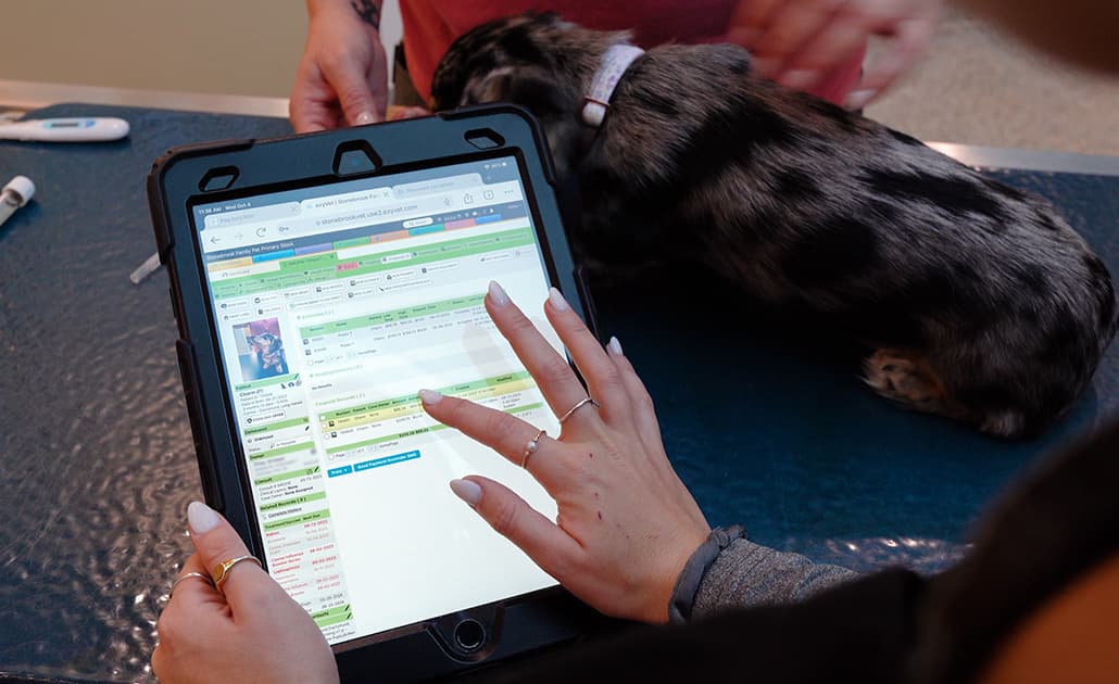 ezyVet on a tablet