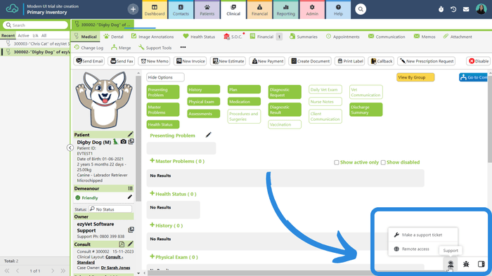 Support and remote access made simple