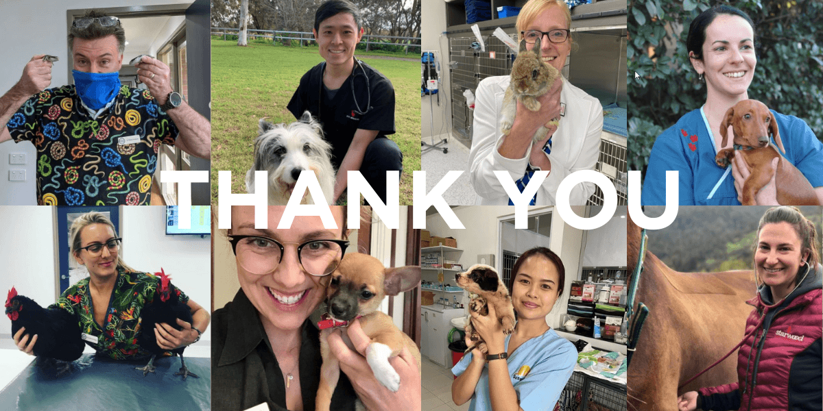 World Veterinary Day 2021 - THANK YOU