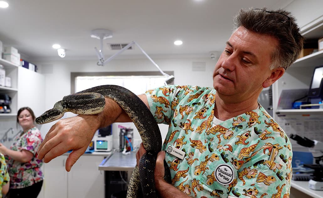 Veterinarian with snake