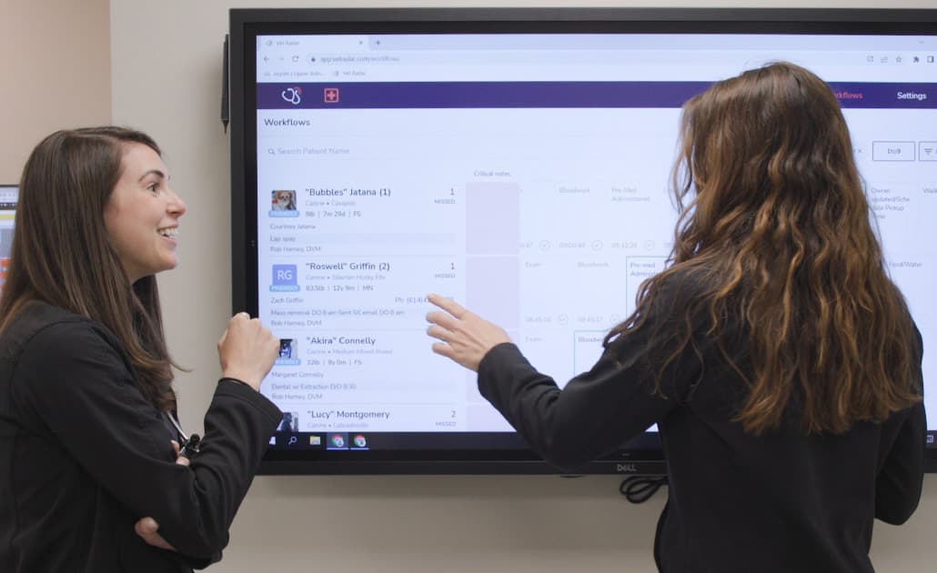 Veterinarians standing in front of electronic whiteboard