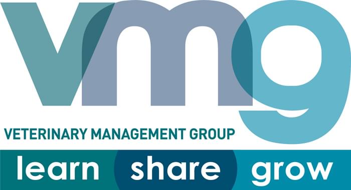 VMG logo web