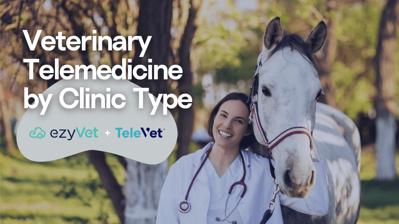 Veterinary Telemedicine by Clinic Type