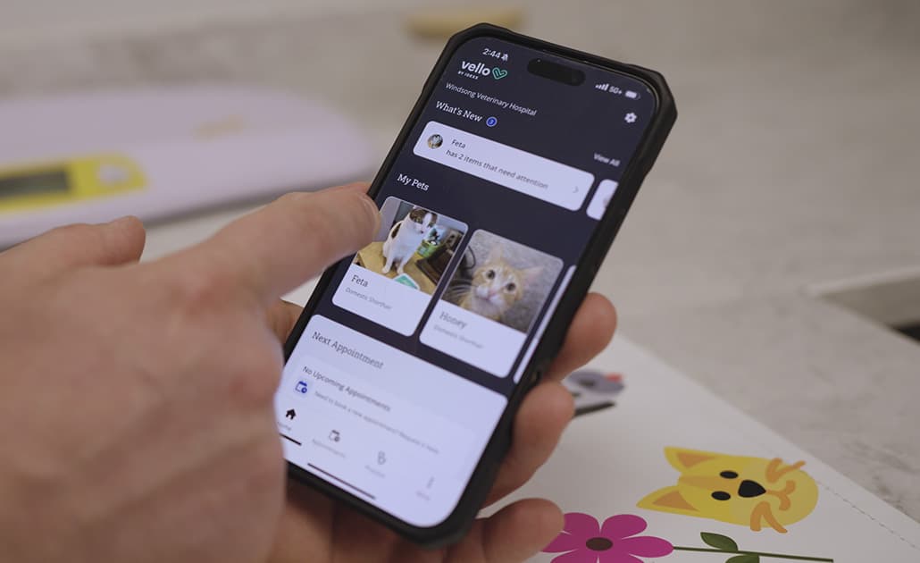 Vello in use at Windsong Veterinary Hospital