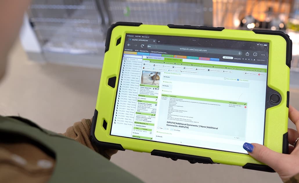 ezyVet on a tablet