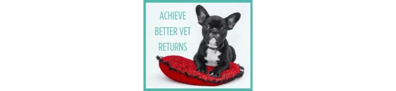 achieve better vet returns dog on pillow