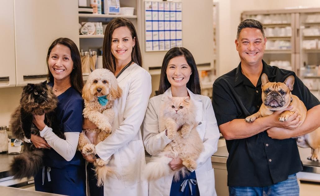 Alii Animal Hospital and Resort team