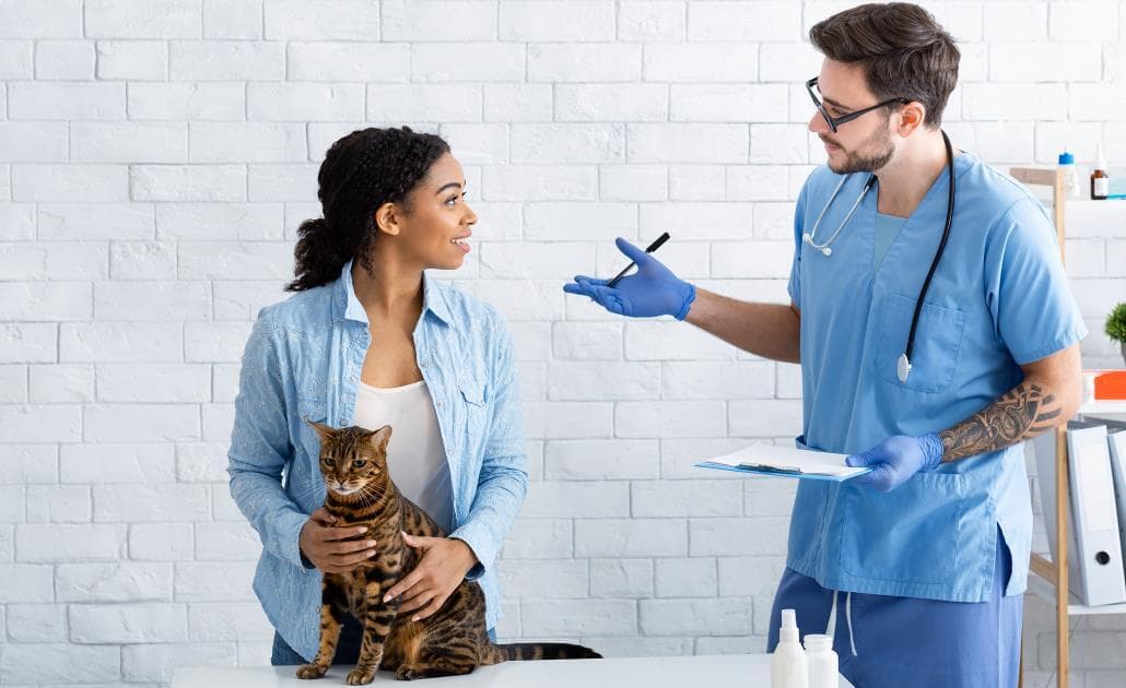 Cat owner talking to a vet