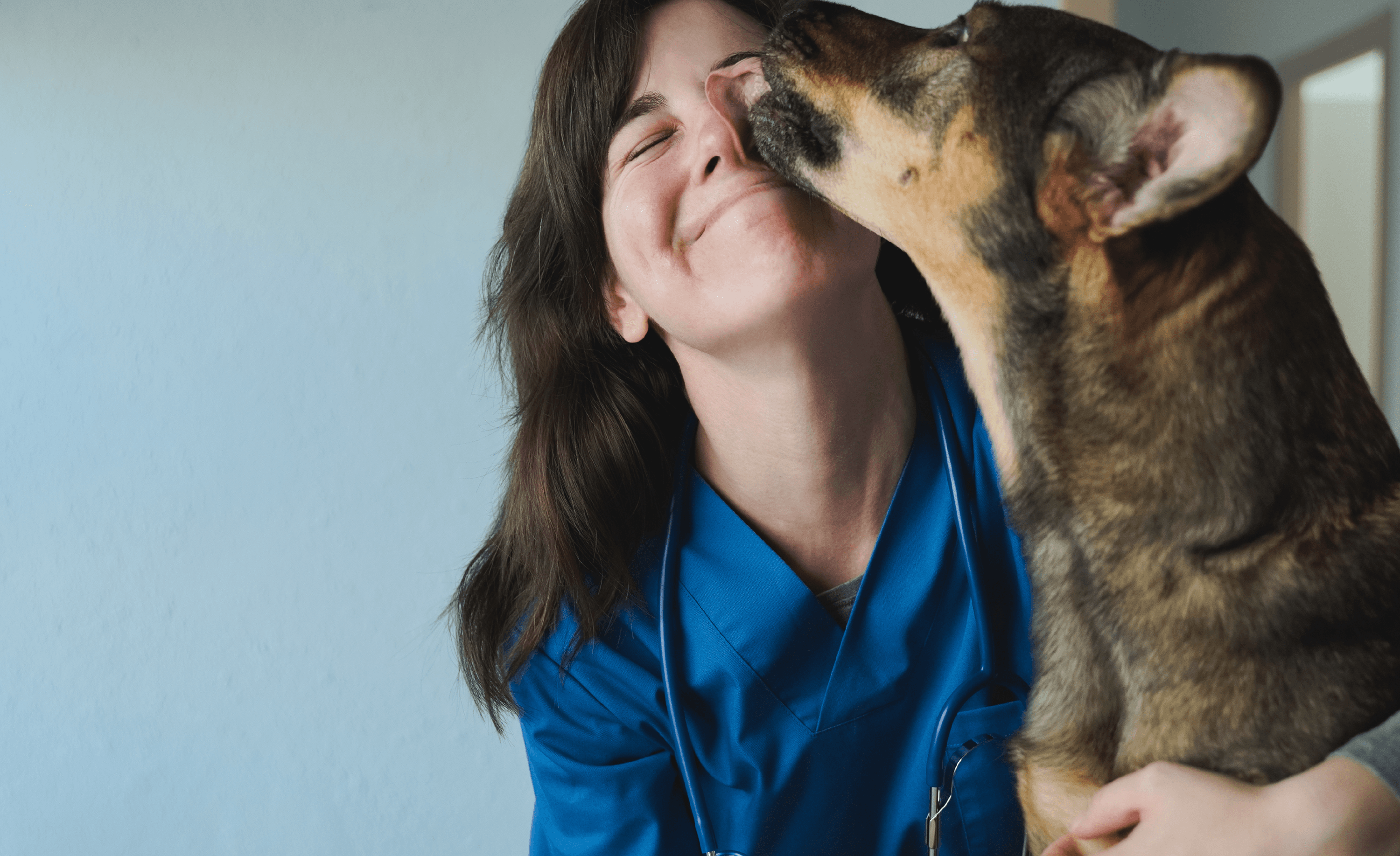 Dog licking a veterinarian