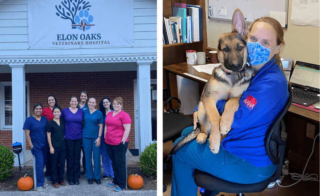 Elon Oaks team and veterinarian with dog