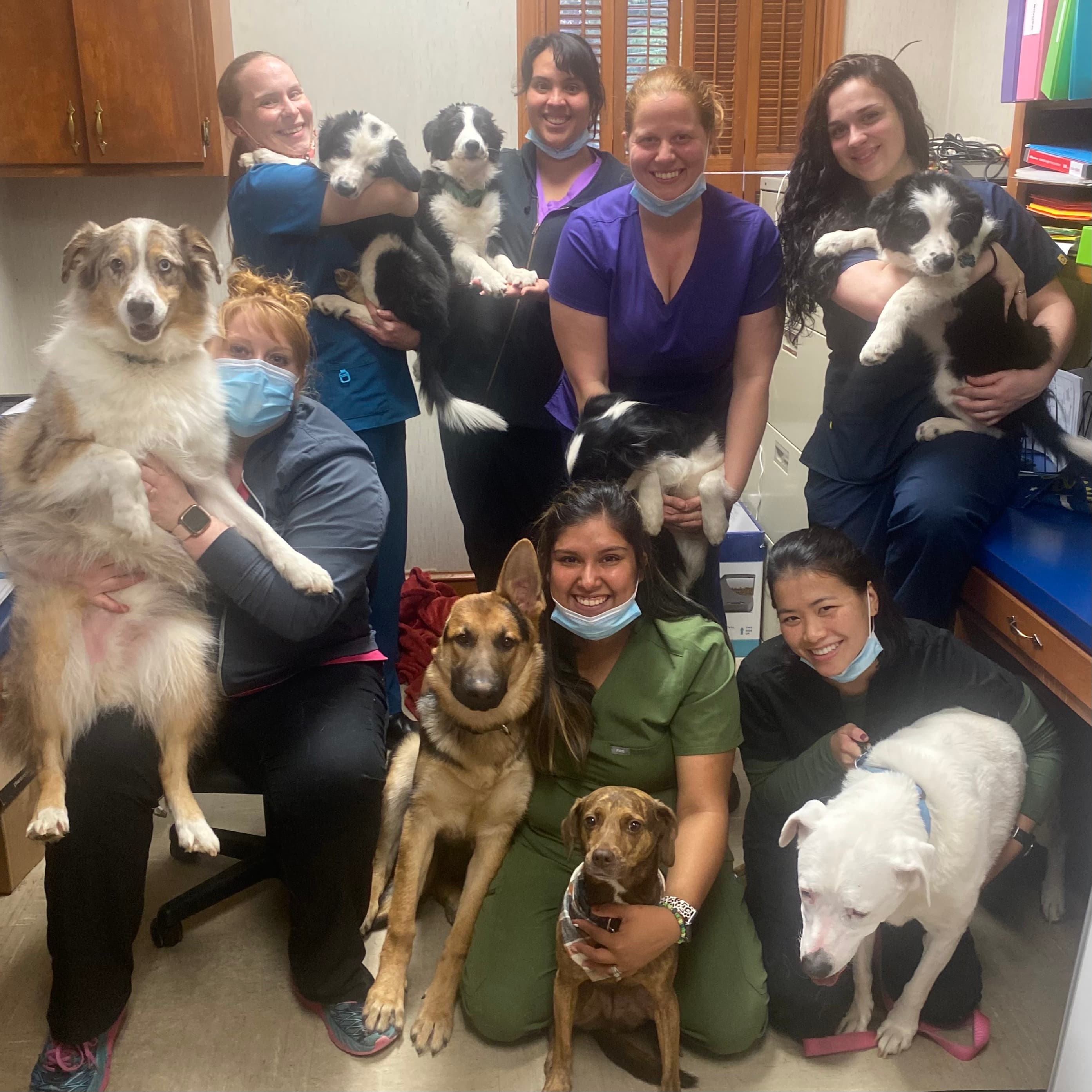 Elon Oaks Veterinary Hospital team with dogs