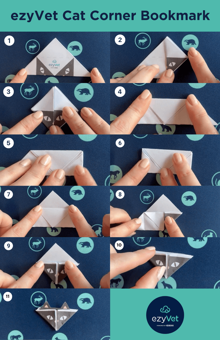 Ezy Vet Cat Corner Bookmark 1
