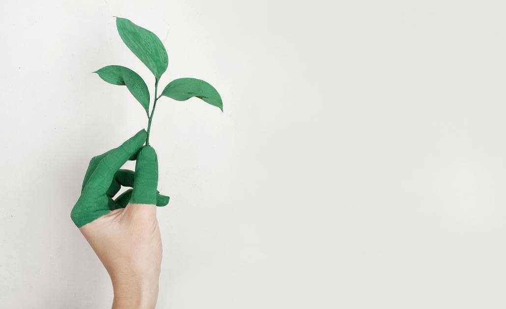 Green hand holding a leaf