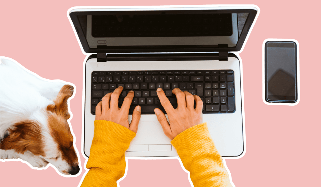 Typing on laptop next to dog