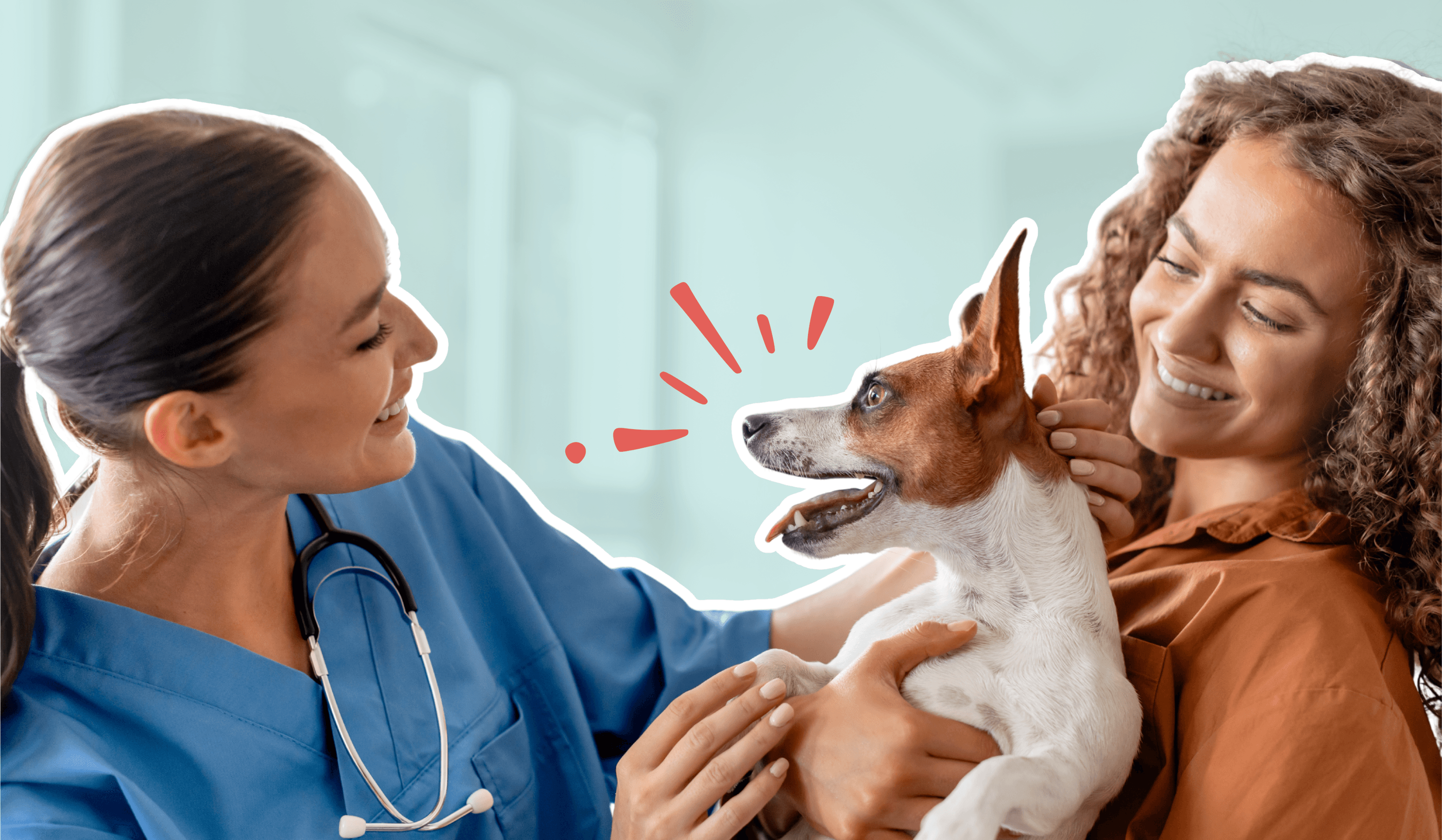 Happy vet team