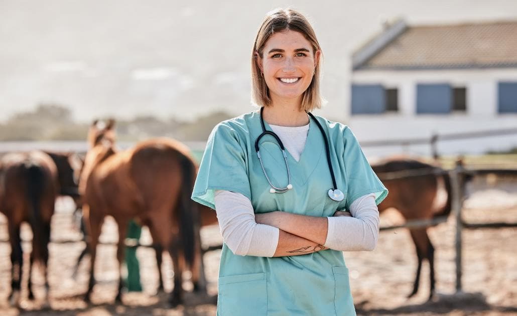 Horse vet