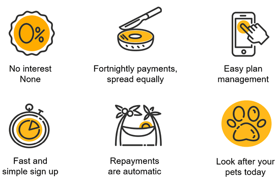 Openpay Provides A Smarter Way For Pet Owners To Pay Au Ezyvet