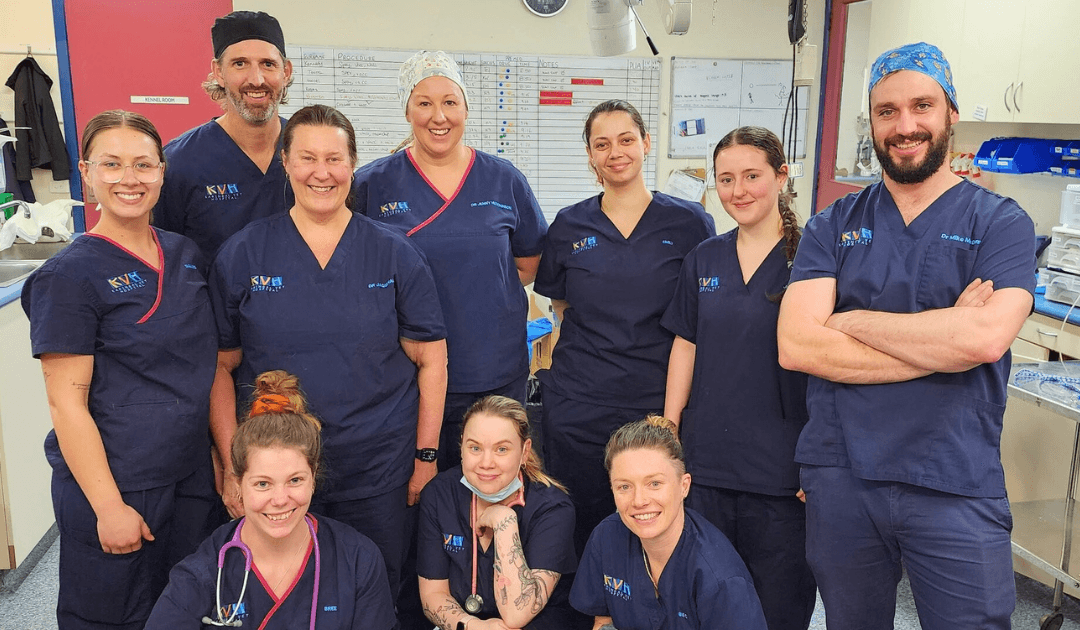 Karingal Vet Hopsital team