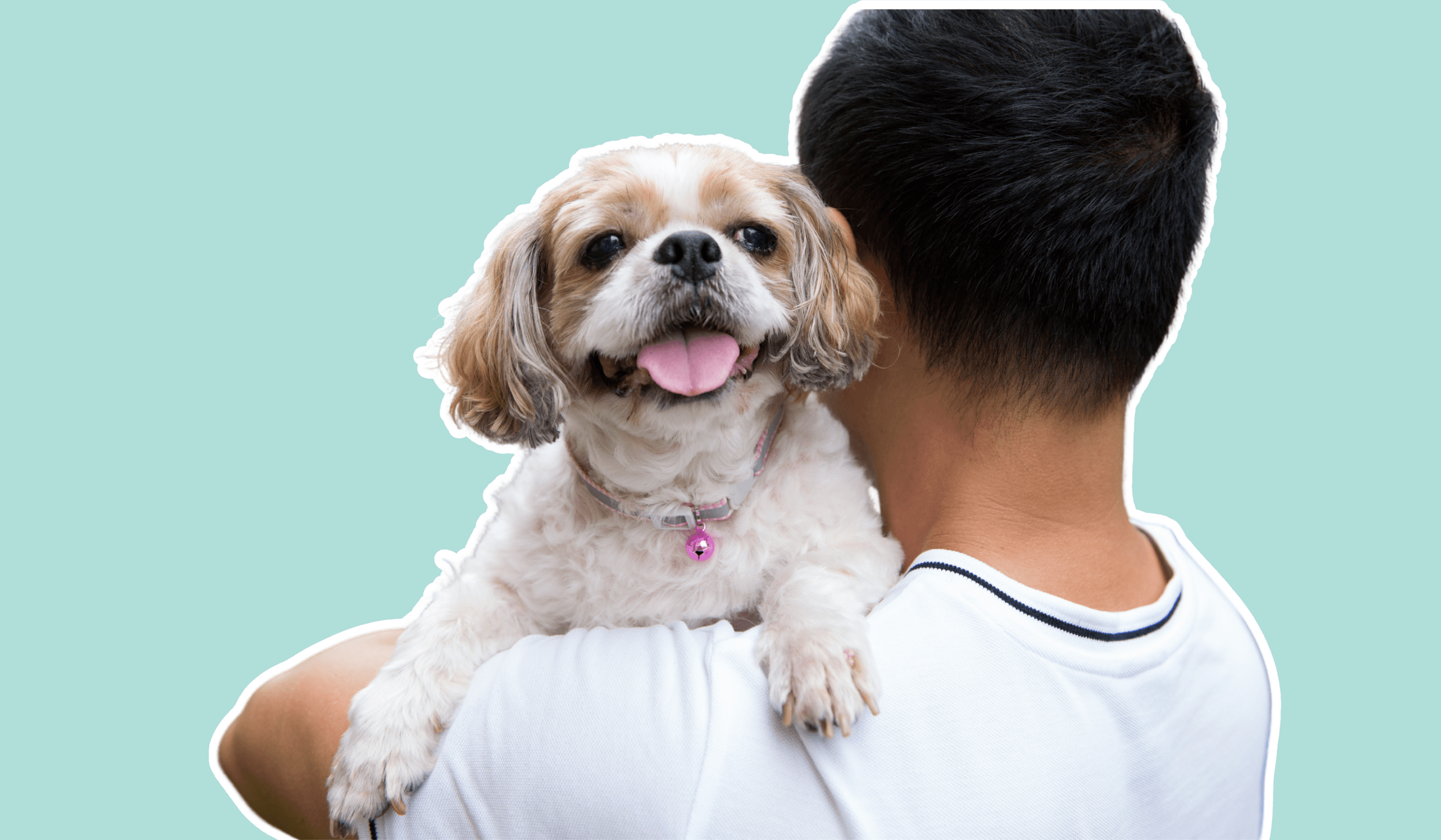 Photo of man carrying a dog over his shoulder