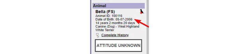 patient date of birth