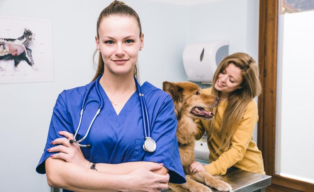 Veterinarian with dog in the background