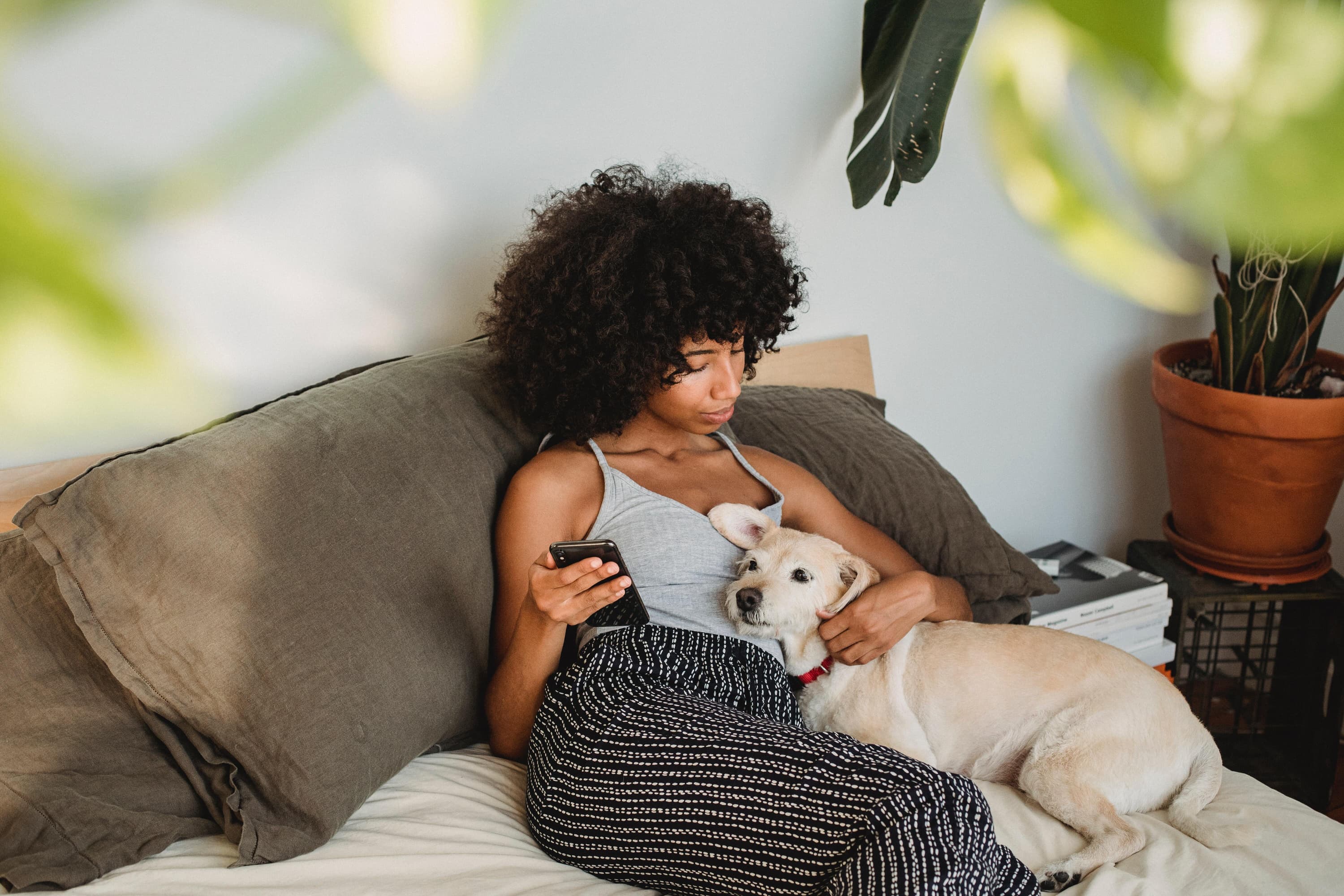5 reasons why every practice should be using veterinary text messaging in 2022