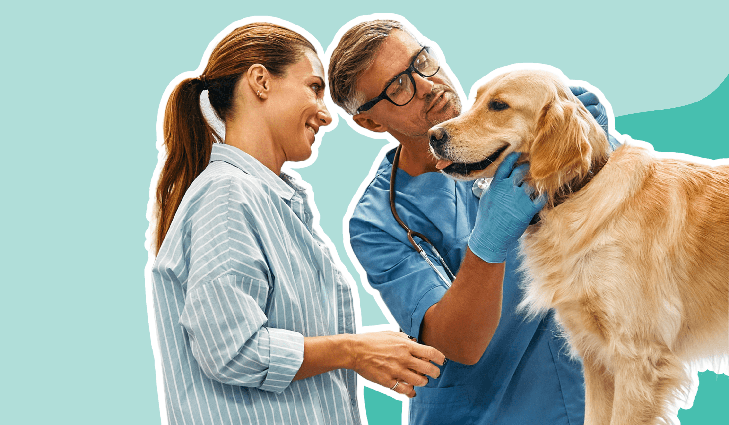 Pet owner and vet inspecting golden lab