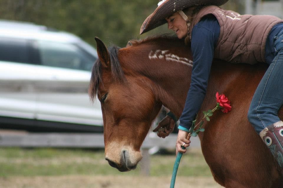 Reagan Equine horse riding
