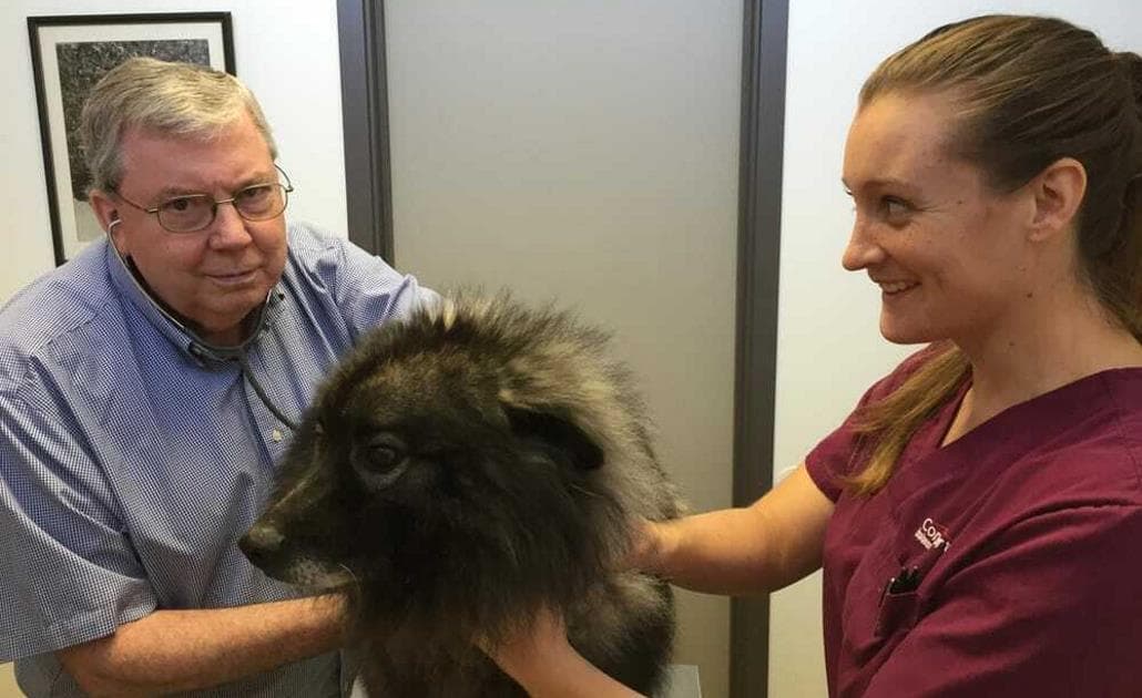 San Rafael Animal Hospital vet with dog