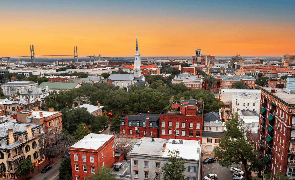Savannah skyline