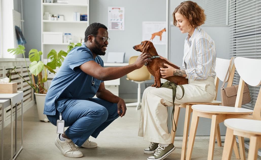 Veterinarian talking to client