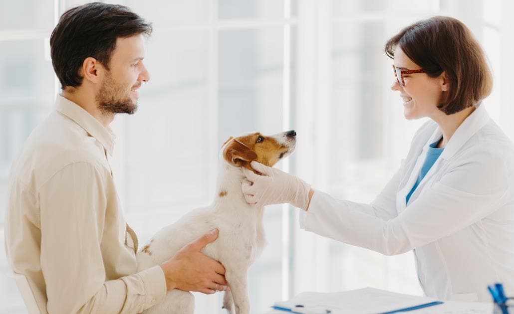 Vet and customer with puppy