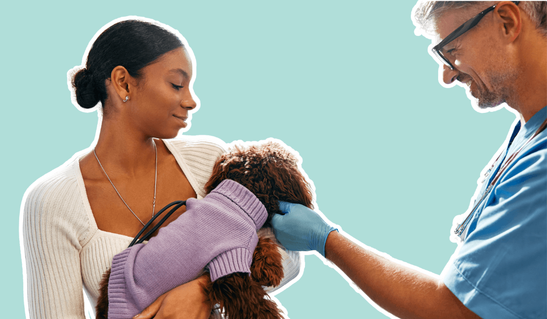 Vet and dog owner
