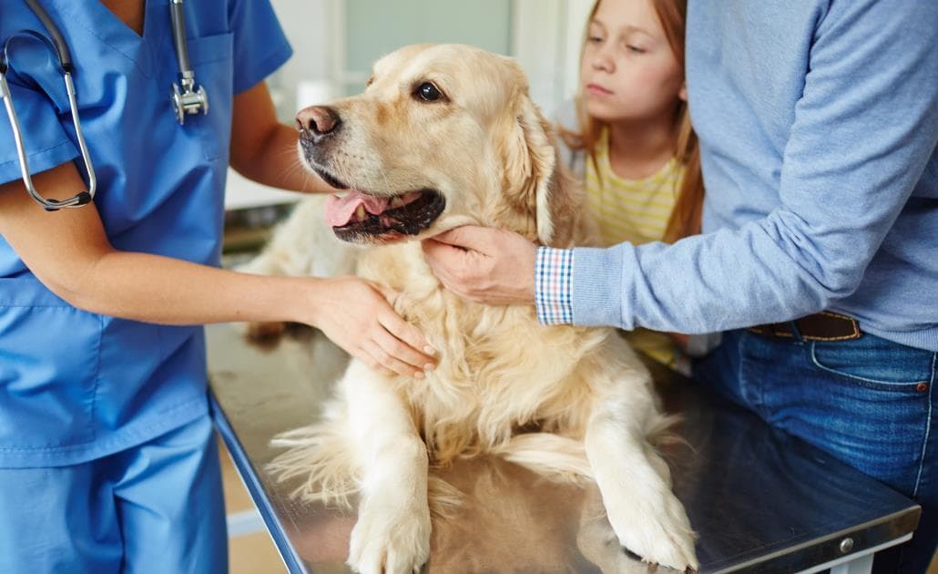 Veterinarian and family with cute dog