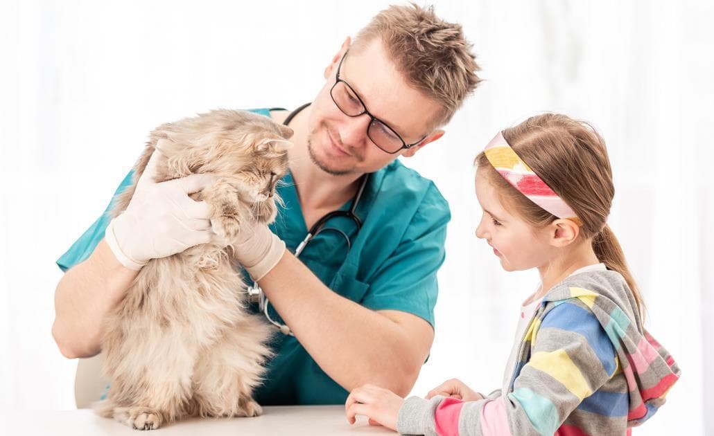 Vet checking cat with girl