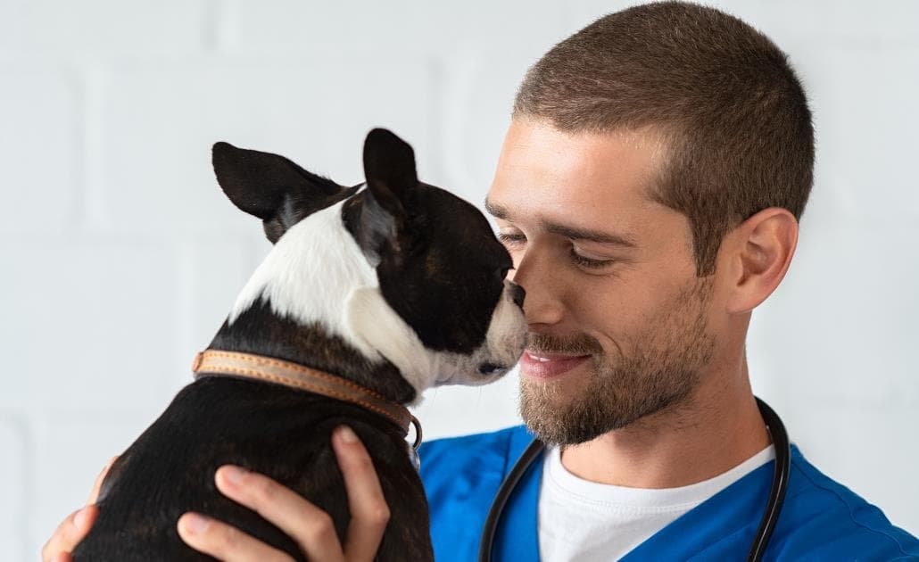 Vet holding dog