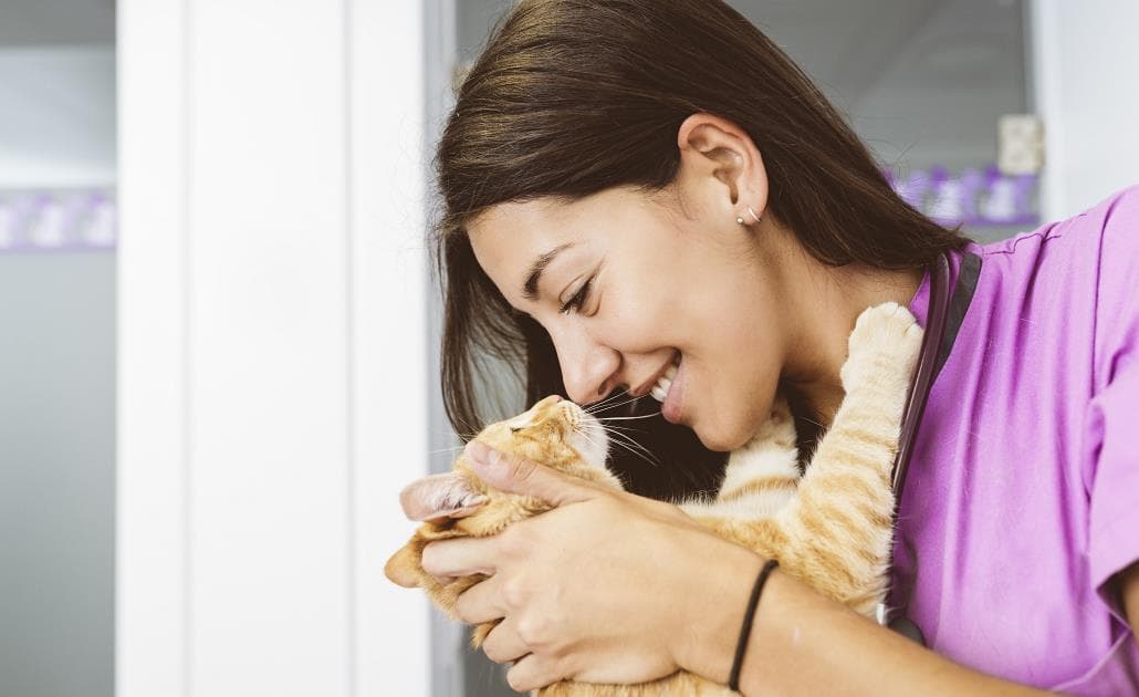 Vet hugging a little cat