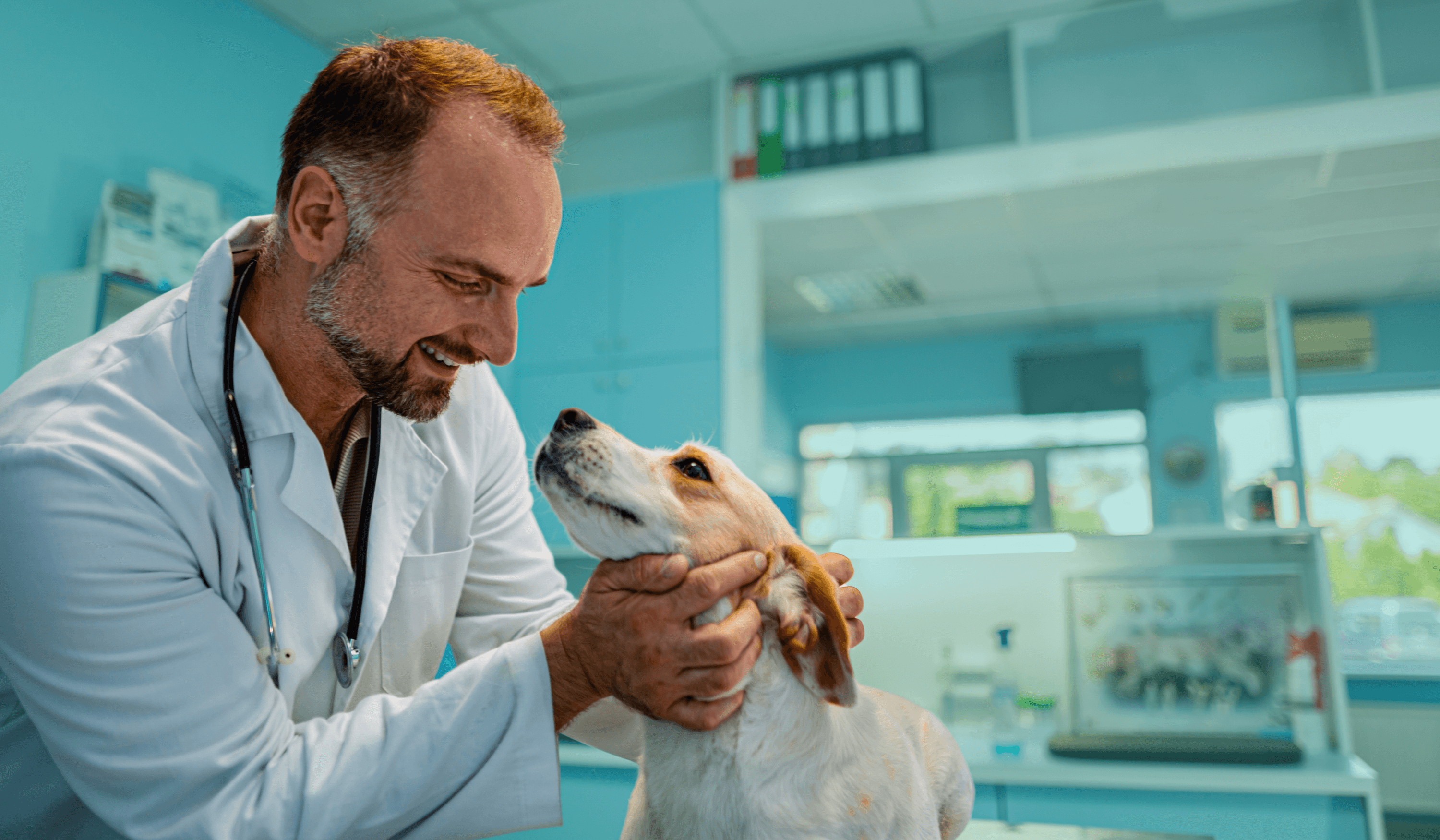 Vet smiling at dog