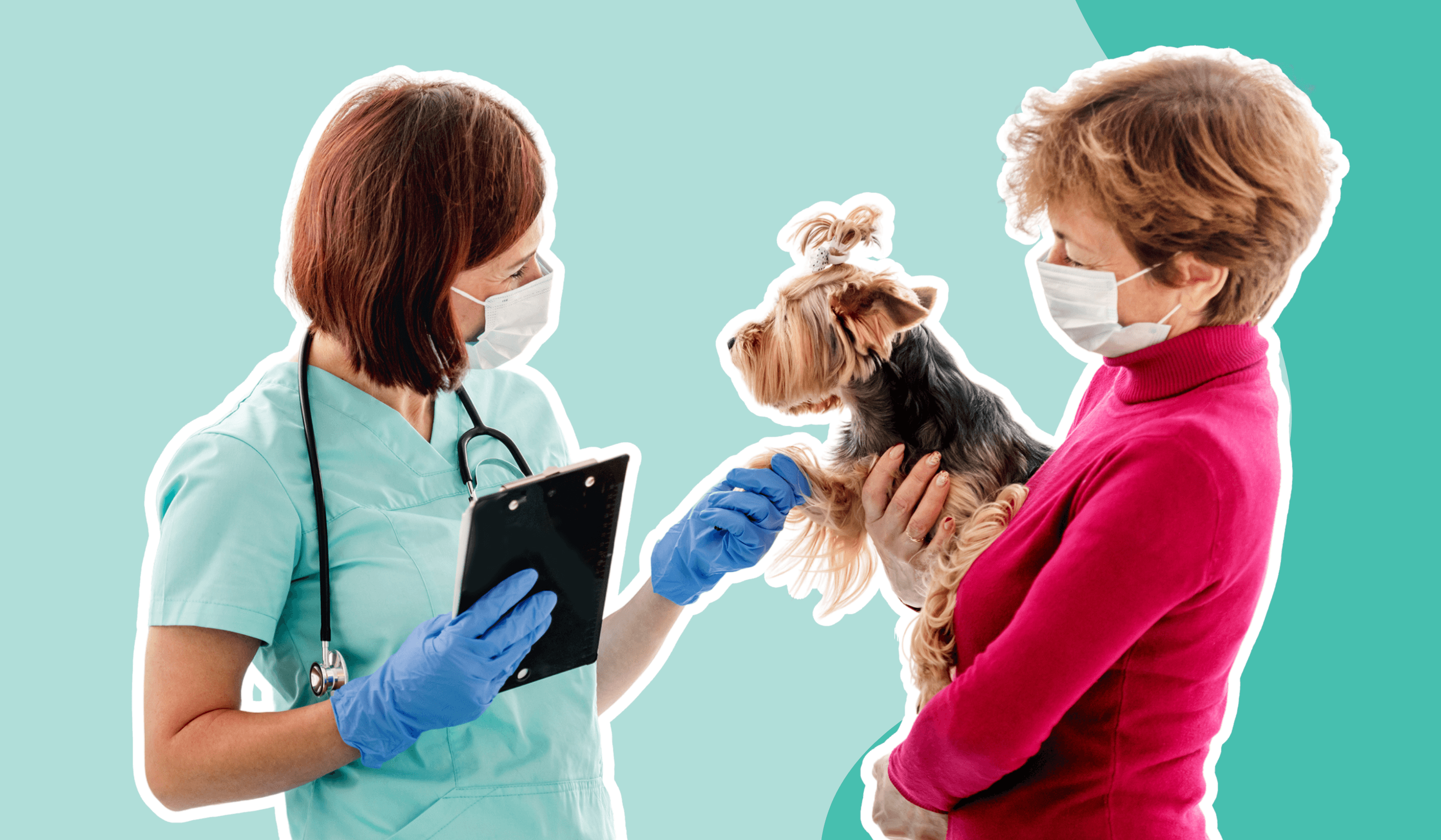 Vet talking to client with dog