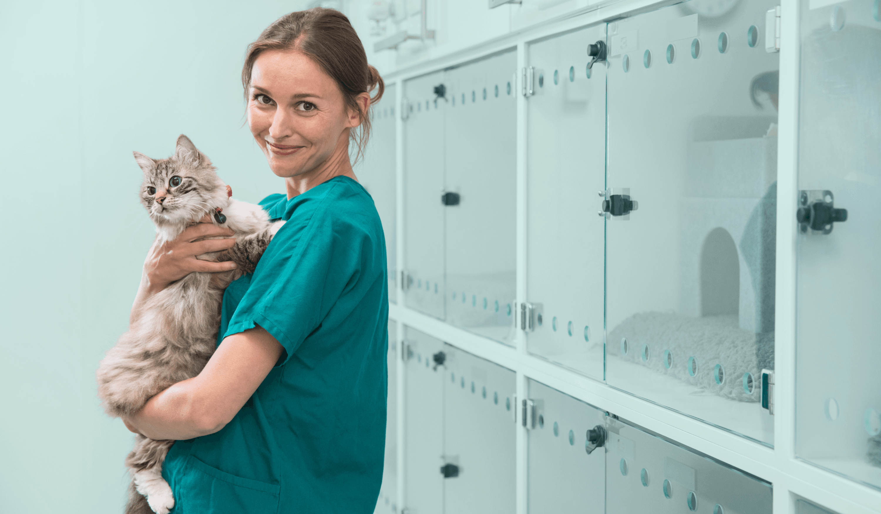 Vet tech holding cat