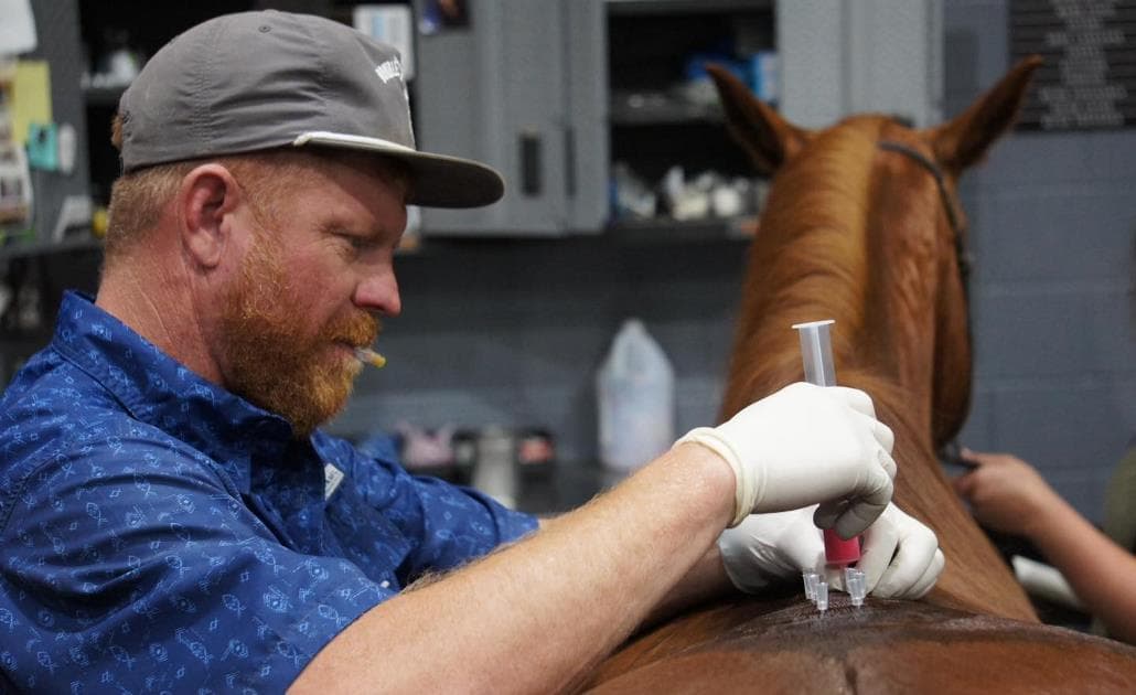 Double X Veterinary Services Vet with horse
