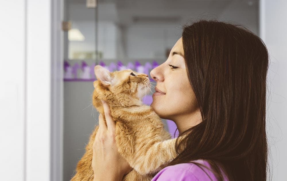 Veterinarian kissing cat