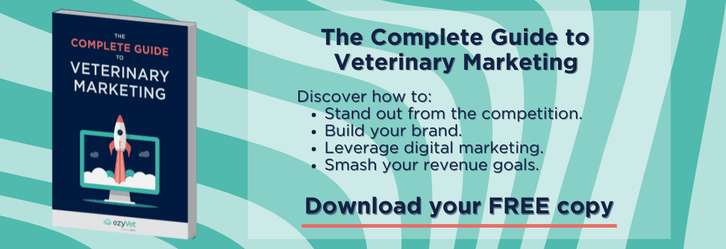 Veterinary marketing guide download button
