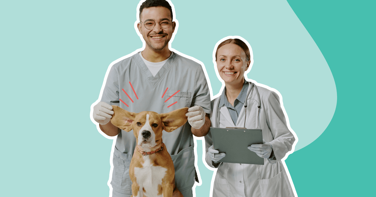 Stock Rotation Veterinary Inventory turnover in veterinary practices: How to optimize stock and ...