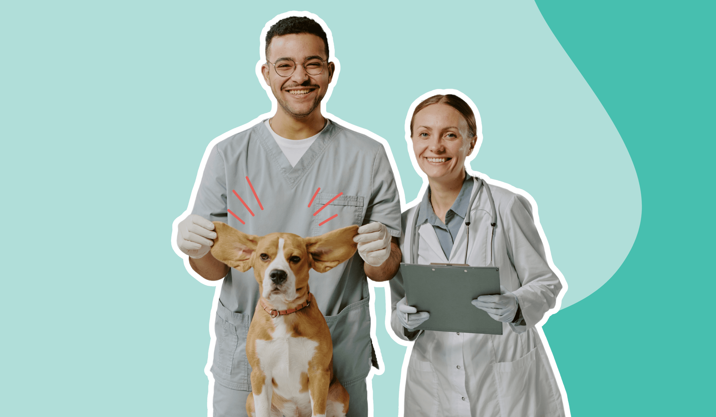 Veterinary team and dog