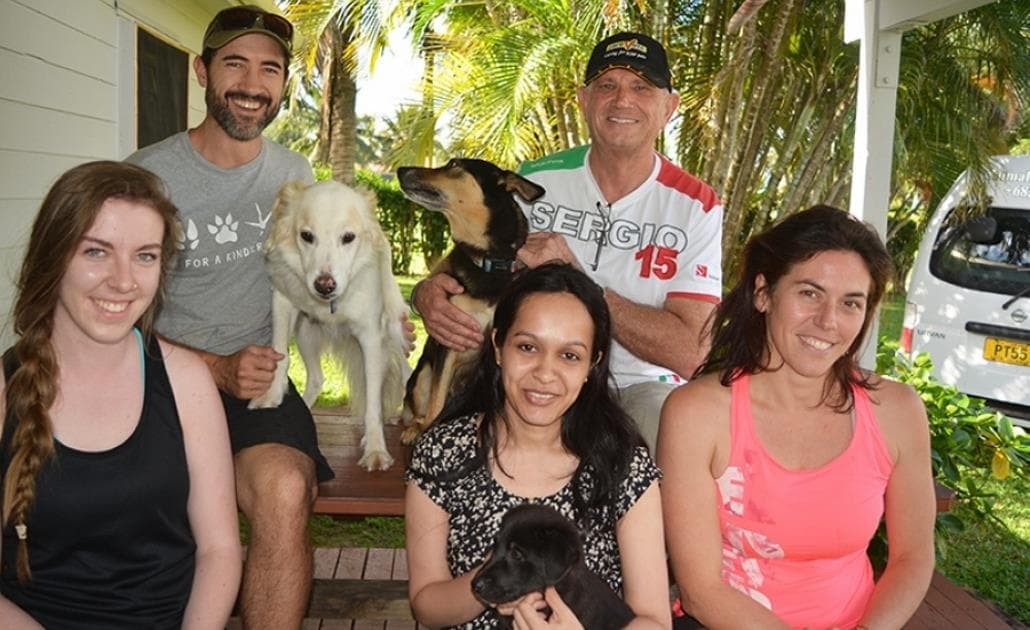 Veterinary team with dogs